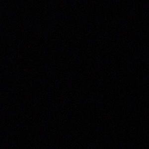 Meet your Posher, Lexi